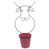 Rose vif