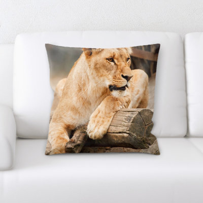 Coussin en afrique