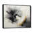 Black Floater Framed