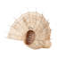 17 Stories Wicker Decorative Basket