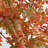 6Ft. Autumn Sumac Artificial Fall Tree