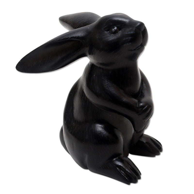 Adorable lapin Brazell, Noir