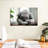 Napping Koala-107943726