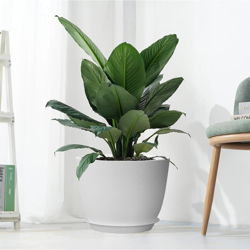 Pot en plastique blanc 12 "avec drainage et soucoupe