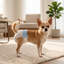Dog Diaper