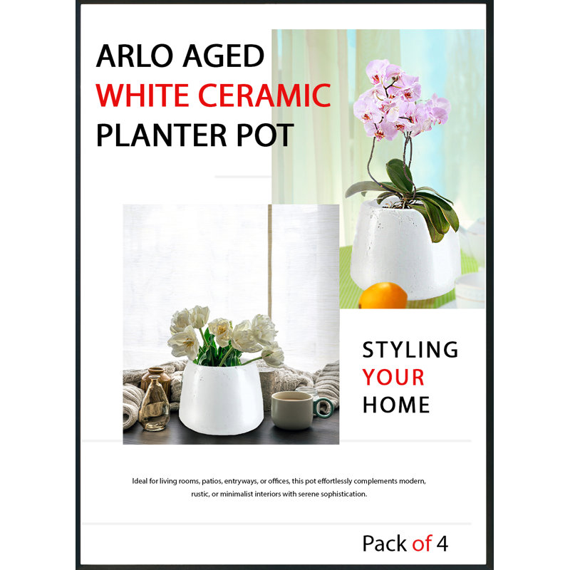 Pot à fleurs en céramique blanche vieillie Latitude Run® Arlo