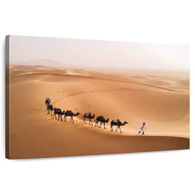 Alvord Camels In Moroccan Desert