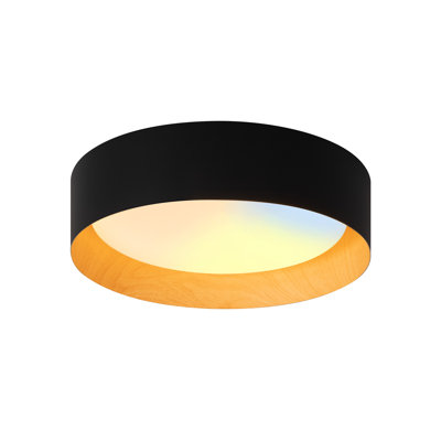 13in Modern LED Flush Mount Lighting 5 CCT Adjustable