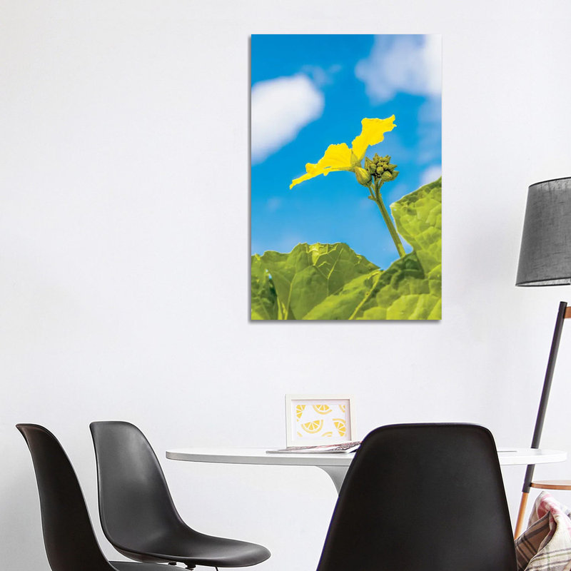 Natural Lantern Cascade II by Albert Koetsier - Gallery-Wrapped Canvas Giclée on Canvas, Wrapped Canvas