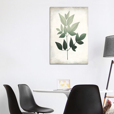 Vintage Botanical Greens II 1 Piece Wrapped Canvas Painting