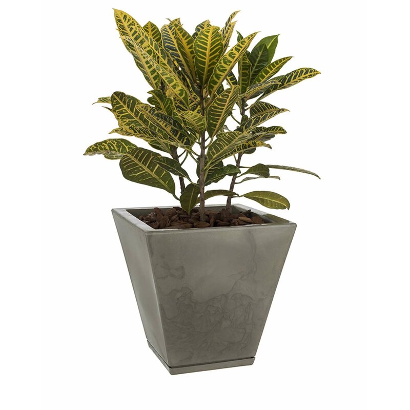 Floridis Zurique Pot Planter & Reviews | Wayfair