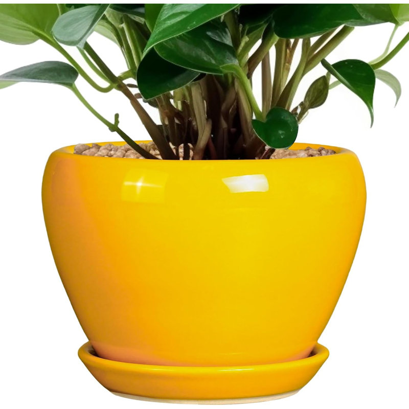 6 Inch Bright Yellow Ceramic Succulent Planter Pot