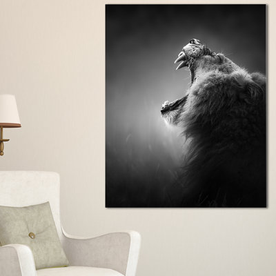Animal 'Lion Displaying Teeth' Photograph Wood