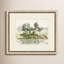 Summers Surroundings 3 Print