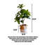 Plantes et arbres en plastique vert 9,65 po