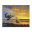 "Beach Birds at Sunset", art mural par D. Rust-1028239063