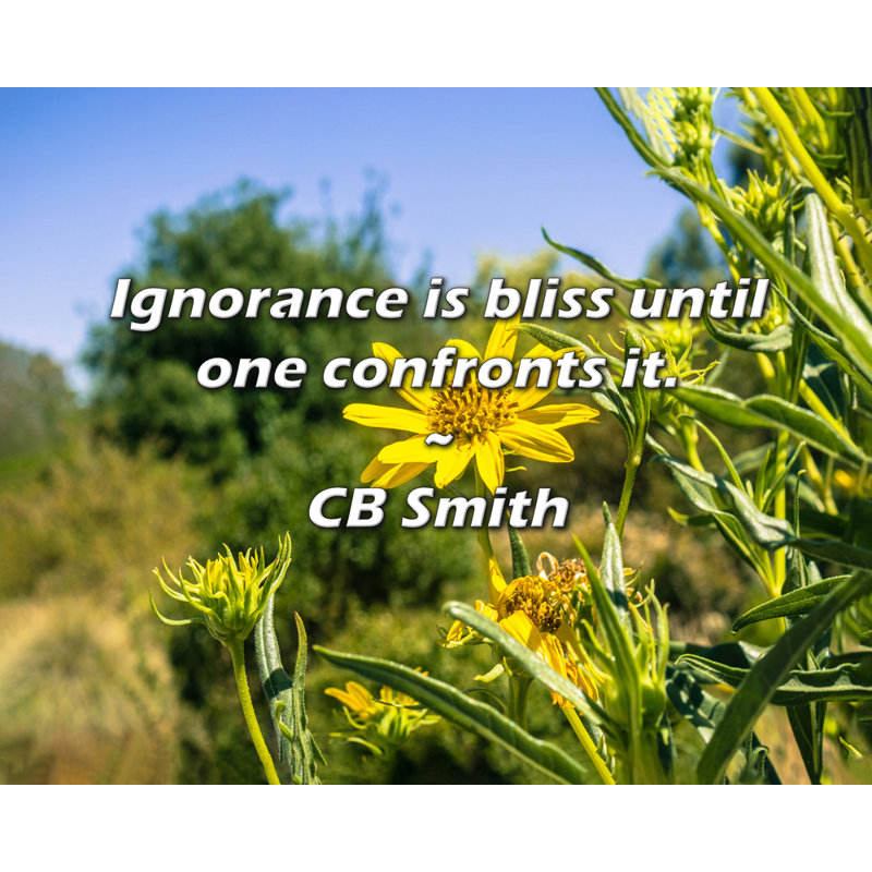 CB Smith Quote: Ignorance is bliss until one confronts it.