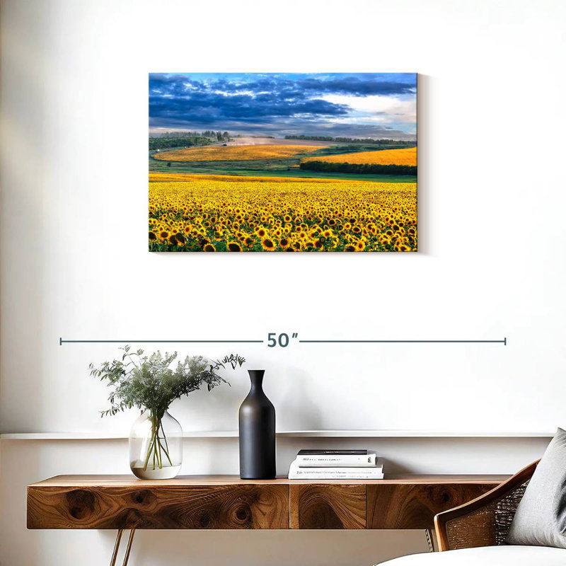 Champ de tournesols Alvord, H 20 po x l 30 po