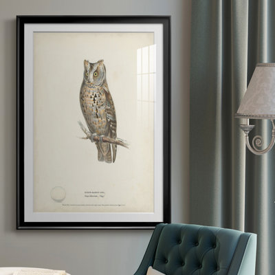 Scops - Eared Owl - reproduction de cadre photo
