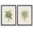 " Les Palmiers III " by Vincent Van Gogh 2 - Pieces-2053596204-2142007230-2142007228
