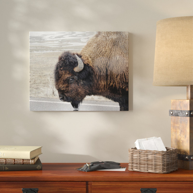 «Beautiful Buffalo», reproduction de photo, H 16 po x l 20 po, Toile tendue