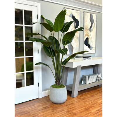 Cape Town 6.5' UV Rated Outdoor Palm Tree in Fiberstone Pot