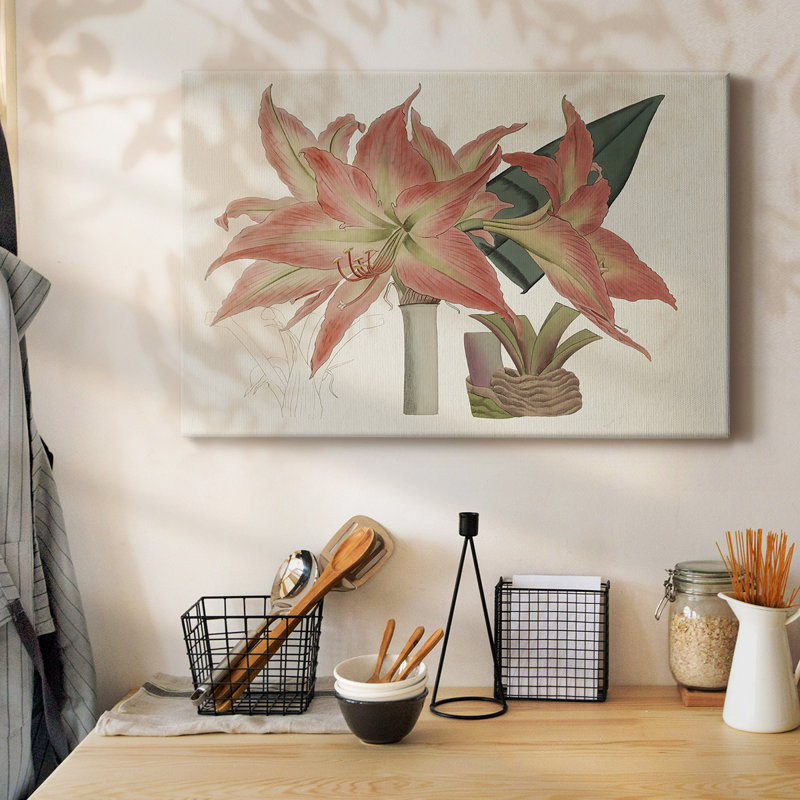 Toile tendue Amaryllis Varietals III-Gallery, H 12 po x l 18 po