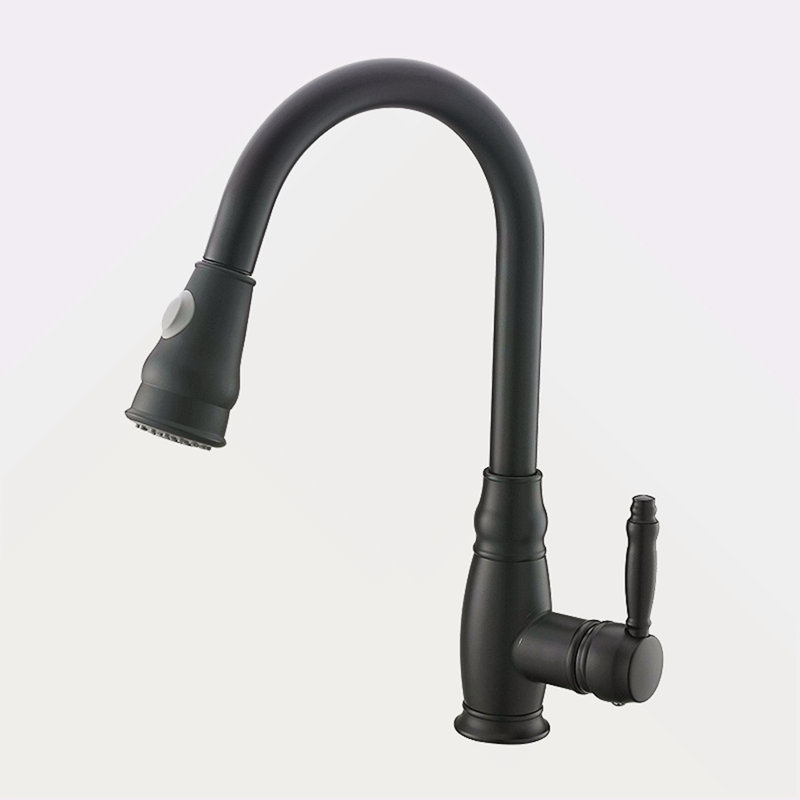 Robinet de cuisine commercial noir avec douchette extractible, robinet d'évier de cuisine à poignée simple