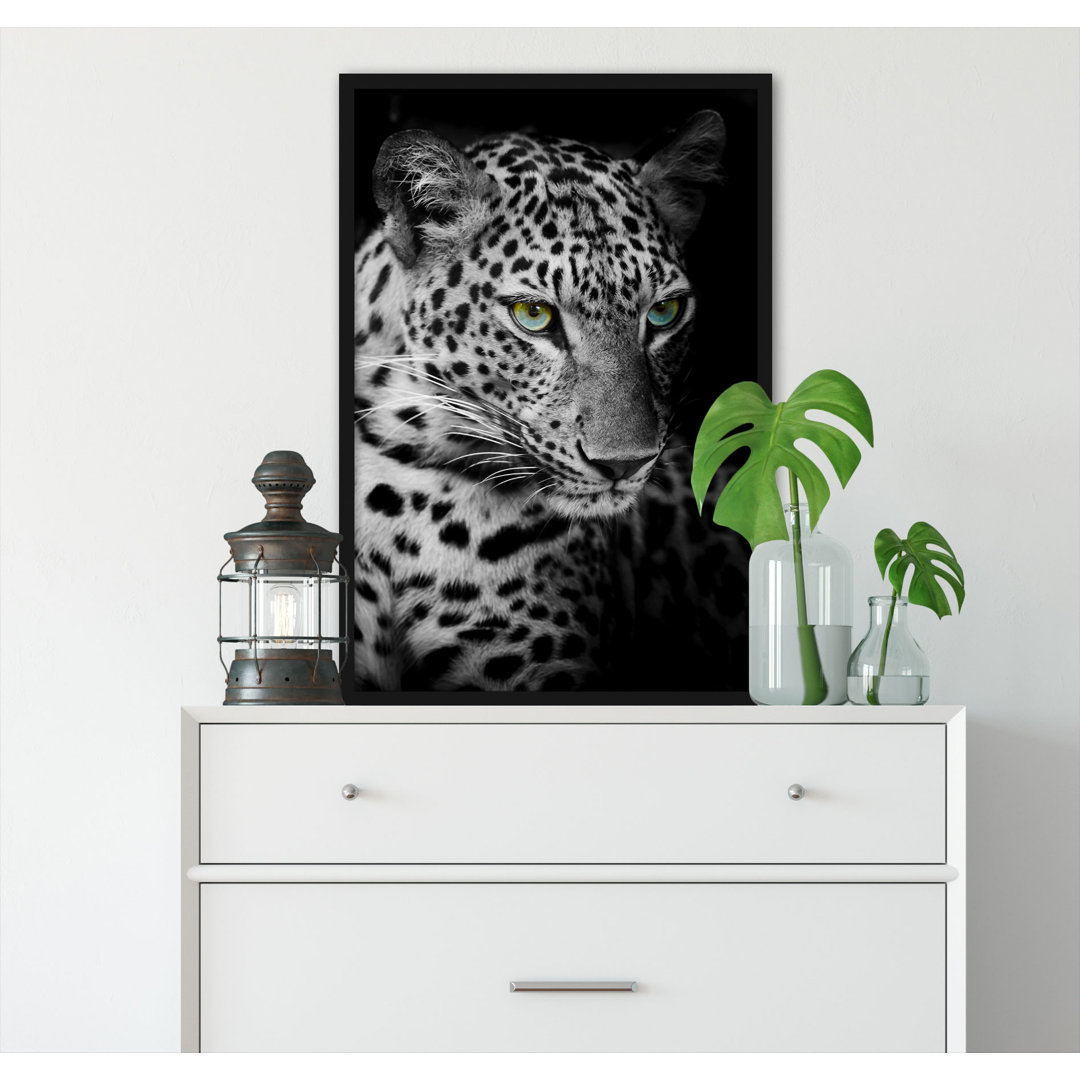 Gerahmter Fotodruck Leopard's Head