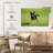 Brampt Sprinting Chihuahua-108736862