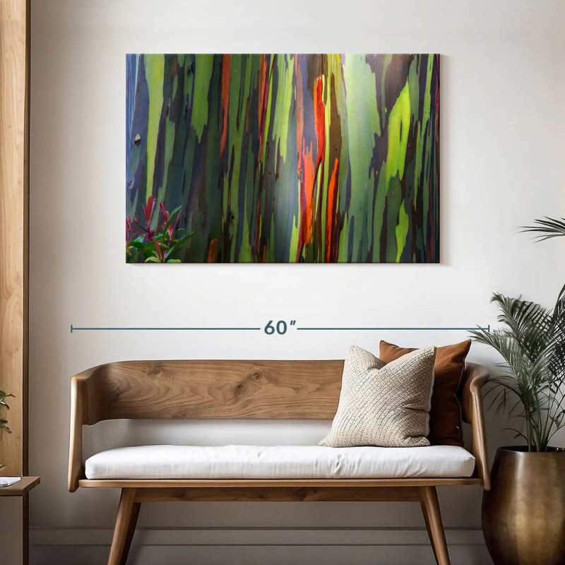 Écorce d'eucalyptus arc-en-ciel, H 30 po x l 45 po