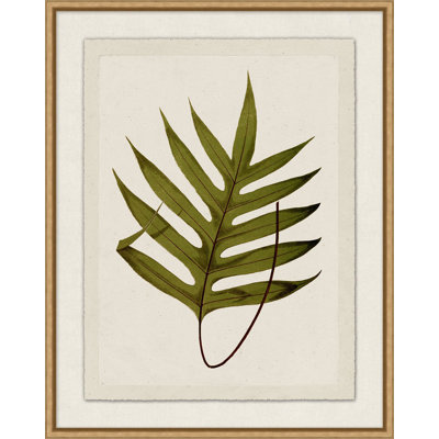 Plant Presses 8 Print by Lillian August