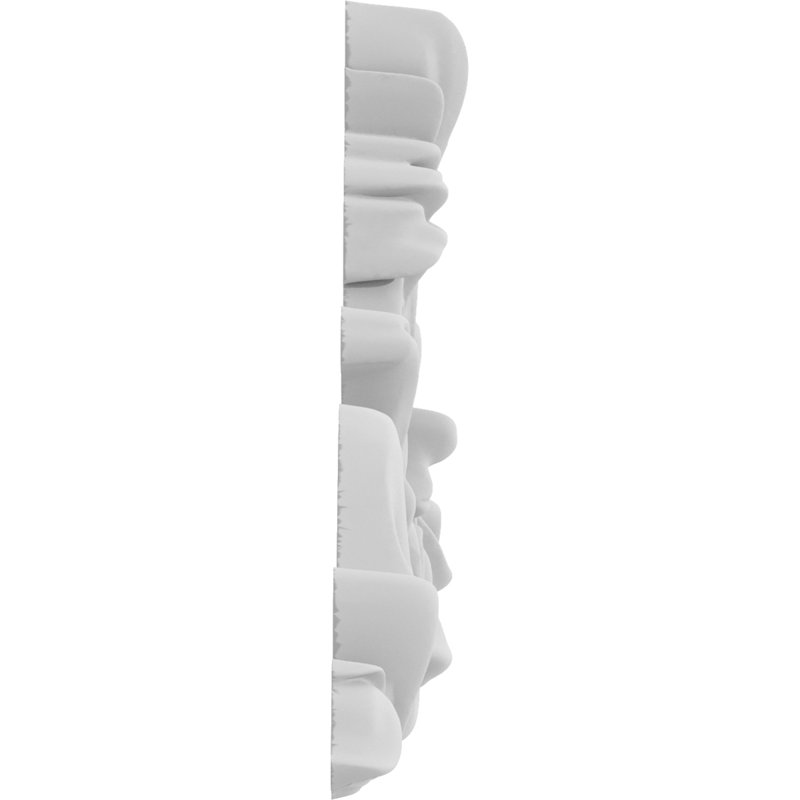 Rosette Glenrock, H 4,5 po x l 9 po x P 0,75 po