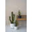 Round Textured Fiberstone Pot
