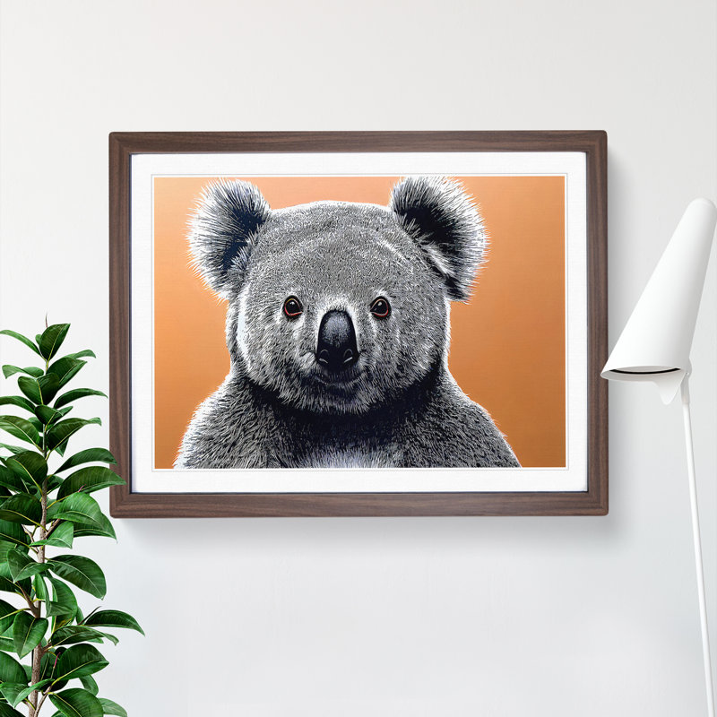 The Koala Bear - Single Picture Frame Print, 34cm H x 46cm W, Dark Brown