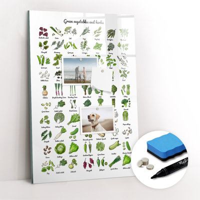 Magnetic Glass Dry Erase Board