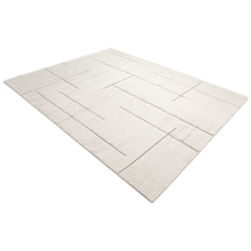 Norwhich Hand Knotted Area Rug, Rectangle 3' x 5'