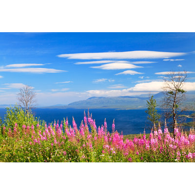 Abisko National Park by Rusm - Wrapped Canvas Print