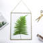 Cadre de présentation de photo de certificat d'art en verre suspendu en laiton de 8 po x 10 po, pince à spéculation de plante ornementale, porte-carte de décoration verticale moderne, cadre en verre seulement