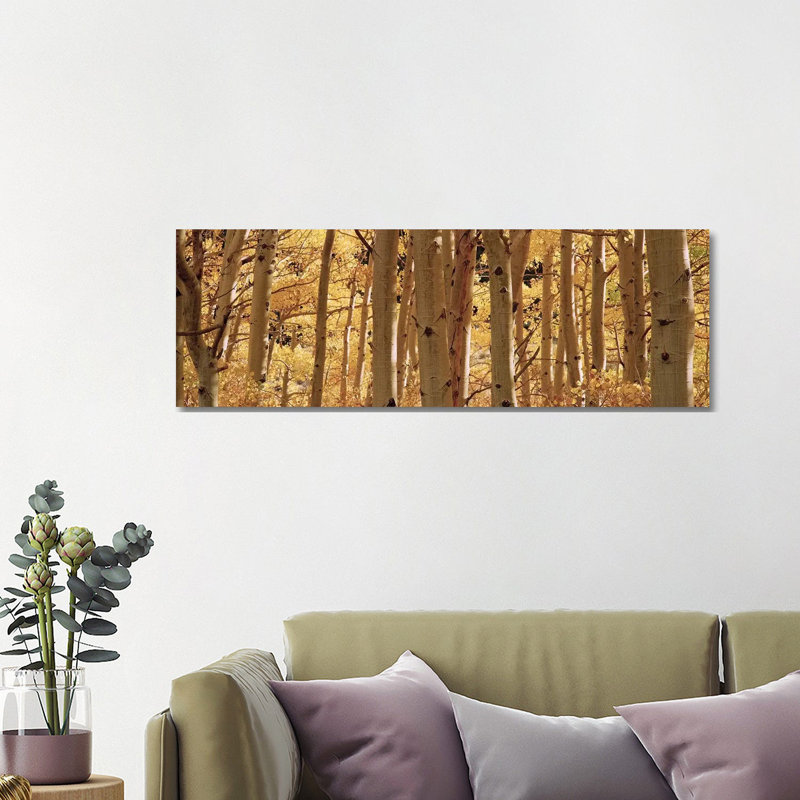 Aspen Trees In A Forest, Rock Creek Lake, California, USA - Wrapped Canvas Panoramic Print