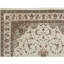 Elegance Oriental Area Rug in Brown/Ivory