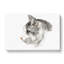 Portrait of a Cat by Jean Bernard - Wrapped Canvas Drawing Pint - Wrapped Canvas-55322301