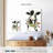 Brampt Springtime Bessie-108449253
