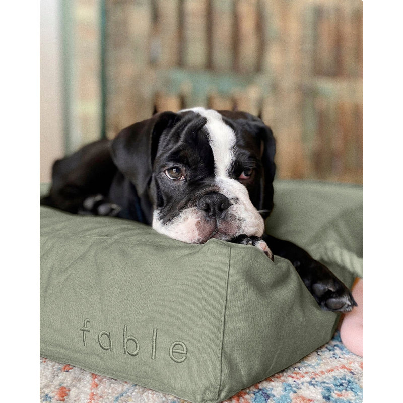 Signature Pillow/Classic Bed, Small (18" W x 24" D x 4" H), Green