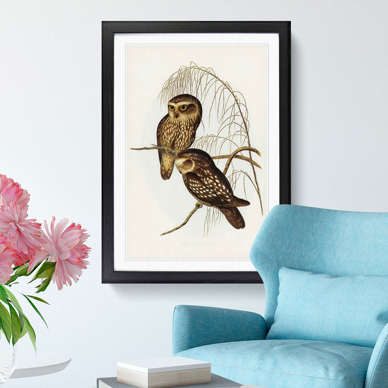 Spotted Owls by Elizabeth Gould - Picture Frame Painting Print, 36cm H x 27cm W x 2cm D, Black Framed