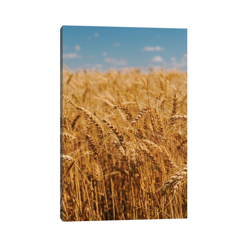 «Summer Wheat Fields» par Bethany Young - Giclée sur toile tendue avec châssis, H 40 po x l 26 po x P 1,5 po