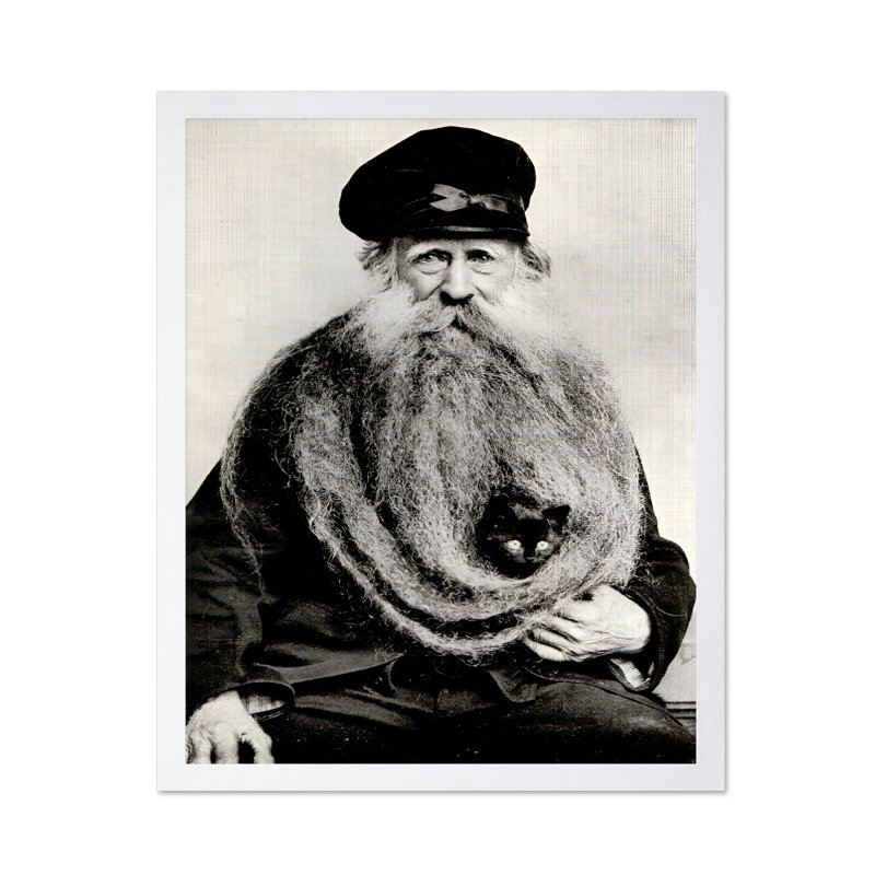 Chat en barbe, Affiche, H 12 po x l 16 po, Encadrement blanc