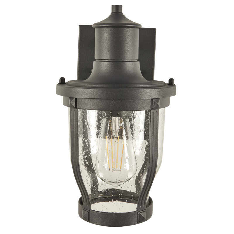 Lanterne murale d'extérieur 1 lumière Aster