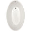 Carli 60'' L Soaking Bathtub-9227753-88749882
