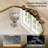 Amara Vintage Baroque Style Tempered Glass French Cleat Mounted Wall Mirror-1311264786-1311264796
